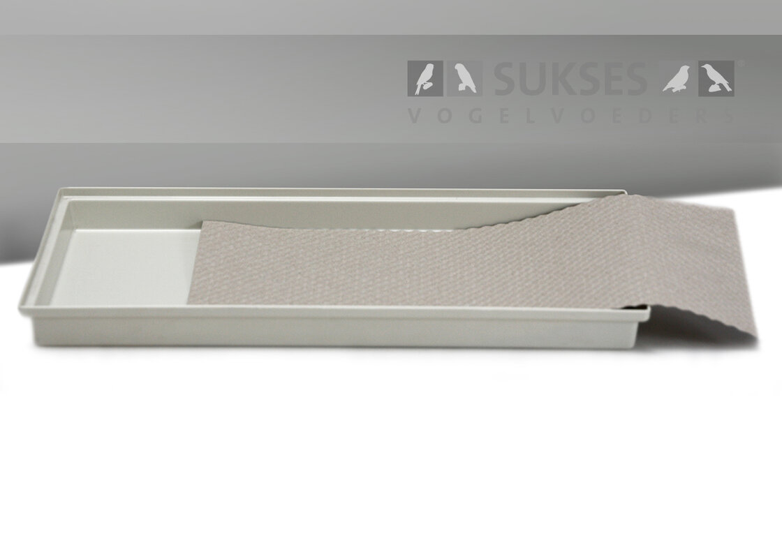 Sukses / Italiaanse kooien