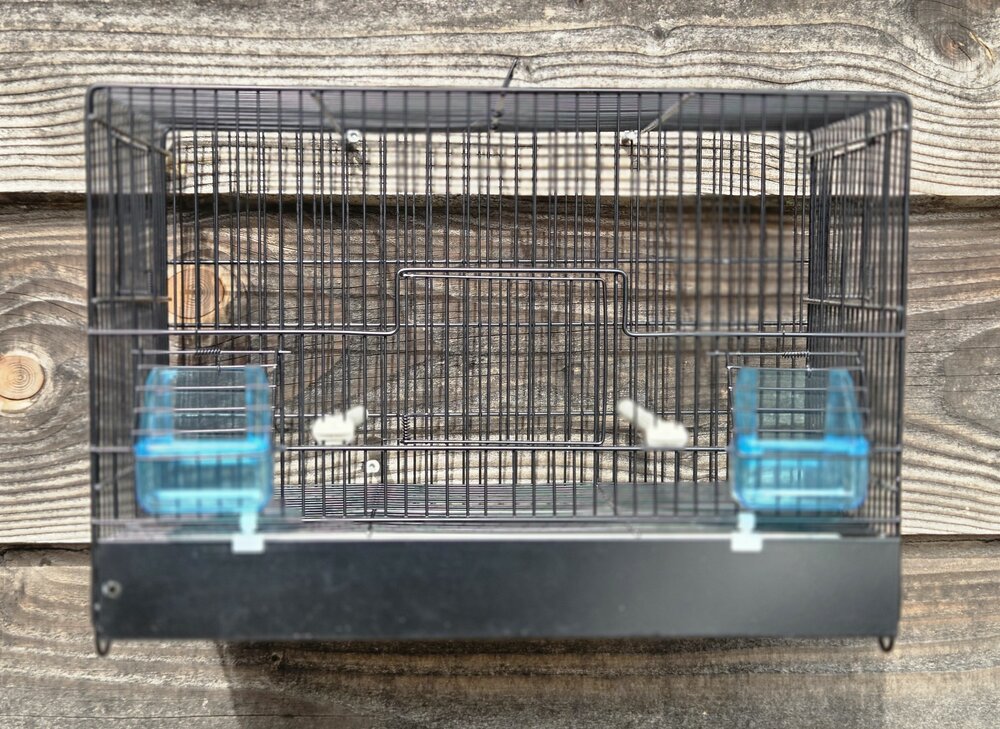 Zwarte stalen broedkooi 1-delig 32x45x25 cm (hxbxd) met ijzeren voorklep plastic lade en bodemrooster