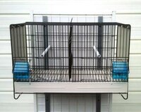 Broedkooi zwart gepoedercoat 34x55x31 cm (hxbxd) met middenschuif plastic lade en bodemrooster