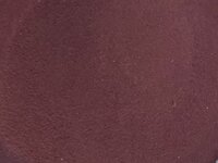 Carophyll Red 10% 100 gram.