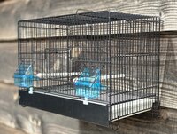 Zwarte stalen broedkooi 1-delig 32x45x25 cm (hxbxd) met ijzeren voorklep plastic lade en bodemrooster