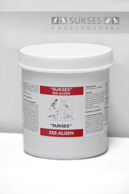 SUKSES Zee-algen 500 gr