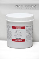 SUKSES Zee-algen 500 gr